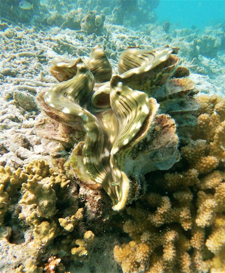 Hotel One The Island Naifaru Exterior foto