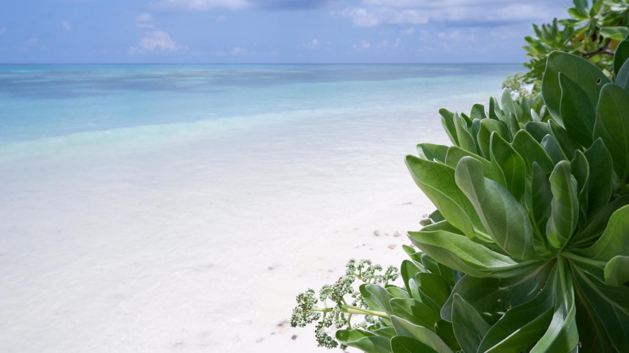 Hotel One The Island Naifaru Exterior foto